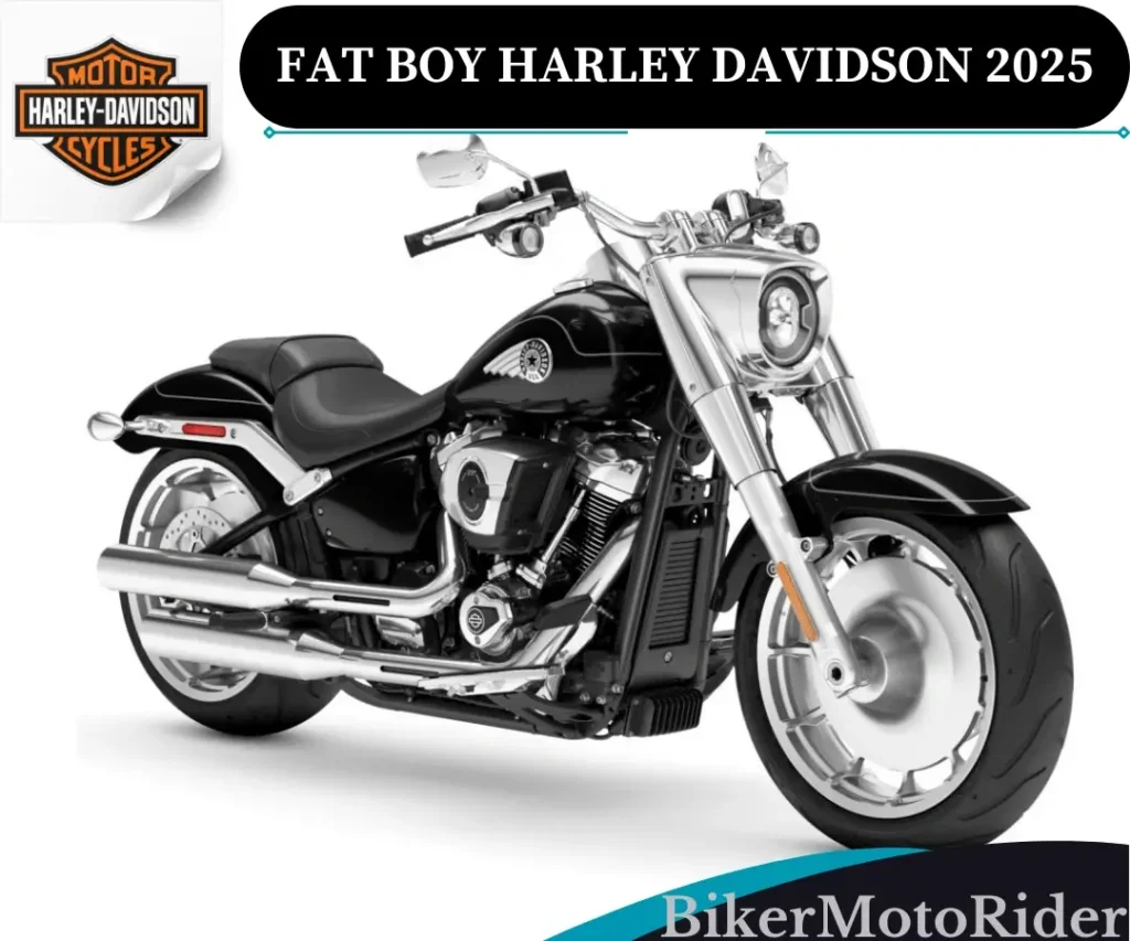 fat boy harley davidson 2025