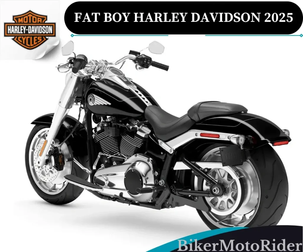fat boy harley davidson 2025
