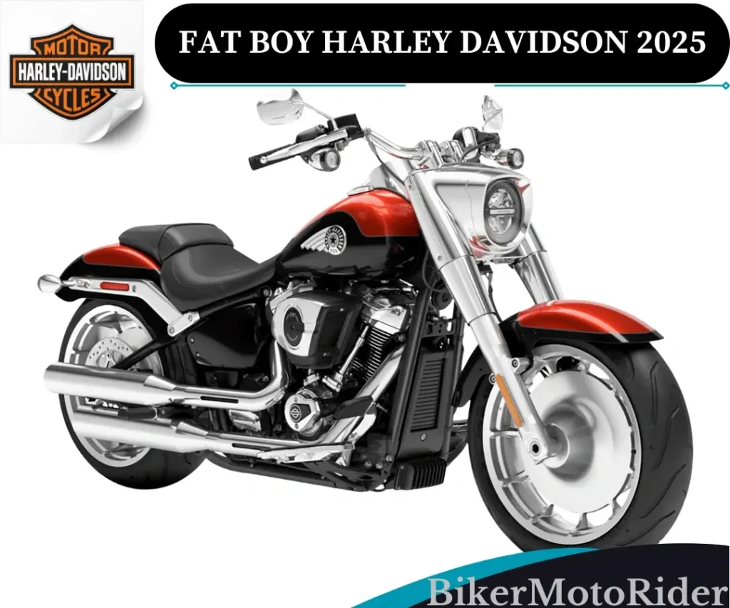 fat boy harley davidson 2025